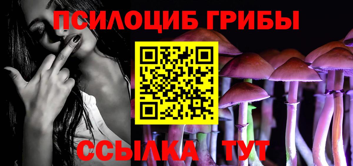 Галлюциногенные грибы MAGIC MUSHROOMS  Вход с VPN  Углич 