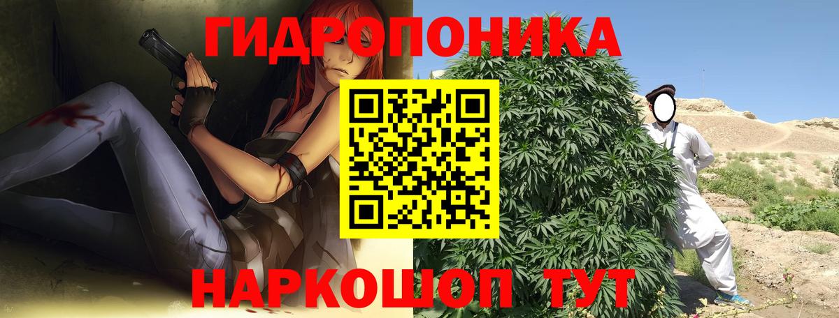 Углич  Бошки марихуана OG Kush  Вход с VPN  Каннабис конопля 